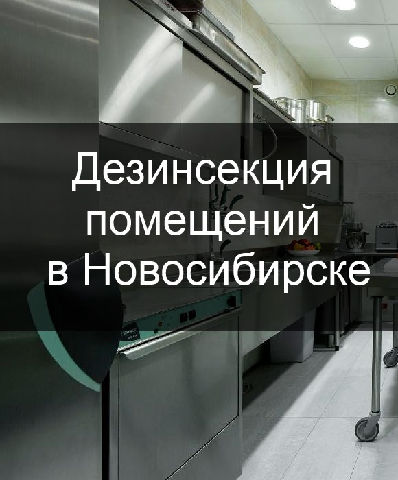 дезинсекция новосибиск